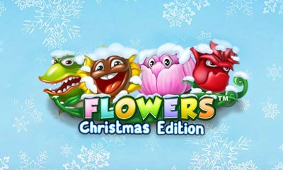 Flowers Christmas Edition